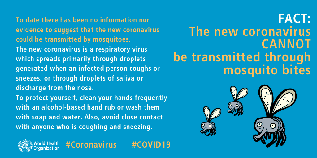 mosquito-cannot-transmitt-coronavirus