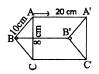 Triangular Base Prism