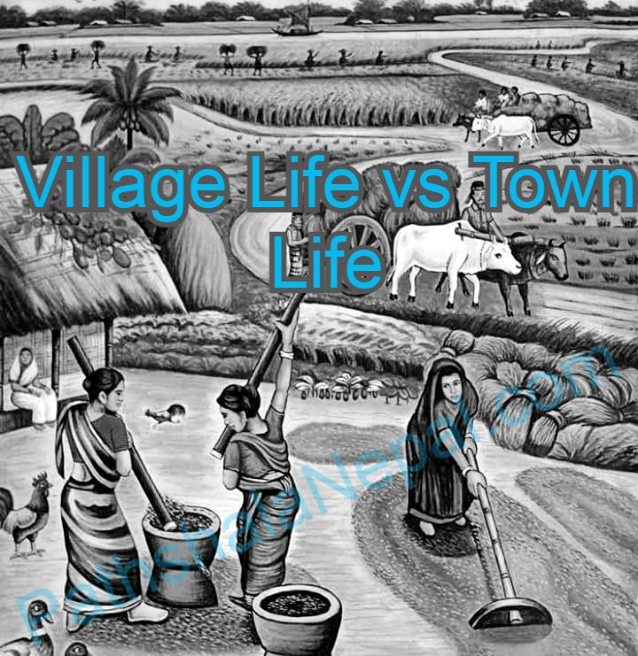 Village life vs town life