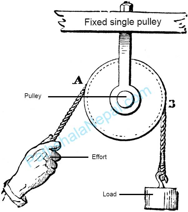 fixed single pulley