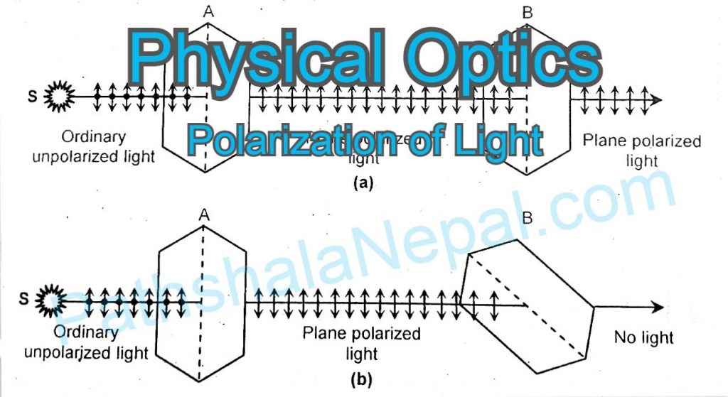 physical optics - polarization of light