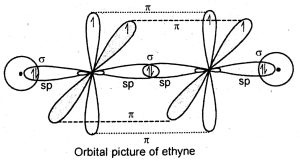 orbital picture of ethyne