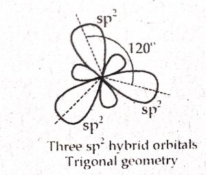 three sp2 hybrid orbitals- trigonal geometry