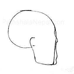 how to draw a human skull - step 4
